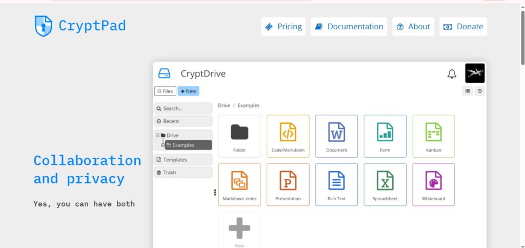 4. CryptPad (Privacy Champion)