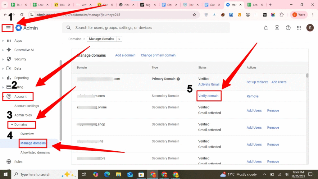 TXT Verification Record